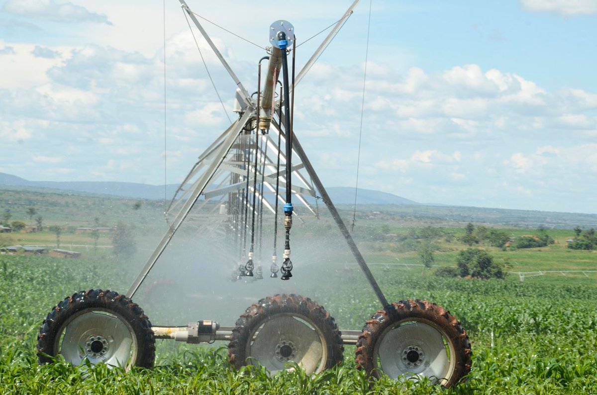 TIME TO LEARN!
Key benefits of irrigation in farming:

1. 💧 Consistent Water Supply
2. 🌾 Increased Crop Yields
3. 🌽 Crop Diversification
4. 🌦️ Risk Mitigation
#farming
#agriculture #modernAgriculture 
Share your insight  👇, repost!