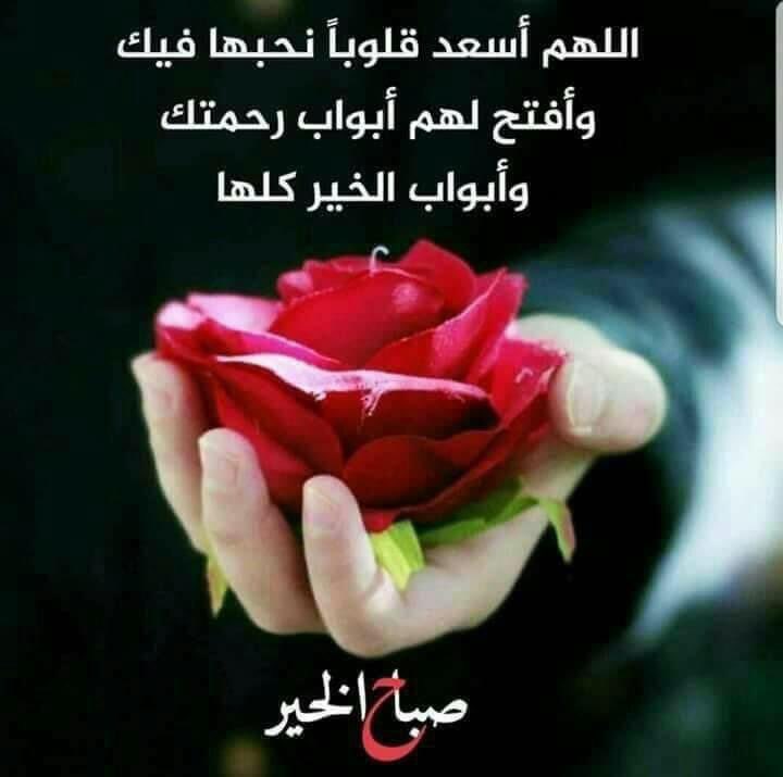 @EngAliIQ @N21_A3 @_0M01_ @__hms0 @HishamRagap @DrAlbideri @Ahlam04900191 @M62687551 @ElghazalyAbdl2 @Eimirahahleh @RSH0555 @vkjha783 @adilkasab @ab24324 @55tt2c @Albasha40835 @thairlsoF @um_nurse @cyBGrp5RGJ42dcB @NASE1016 صباح الخير والنور 
صباح النور والهناء والبهجة والفرح والسرور على من تزرع في قلوبنا الأمل والتفاؤل والطمأنينة بأن غدا أجمل..
#دعم_ali
#قروبات_البابلي_للاضافات 
#قروبات_البابلي_للاضافات 
#قروبات_البابلي_للاضافات