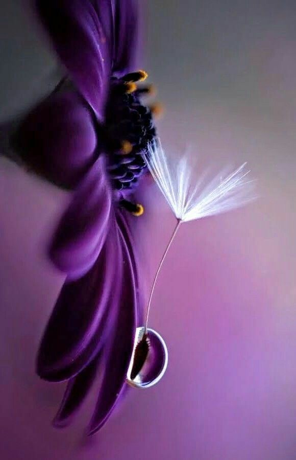 <a href="/KN_IndrePal/">DR. KN INDREPAL</a> 
                     𝓟𝓾𝓻𝓹𝓵𝓮  𝓚𝓲𝓼𝓼 💋