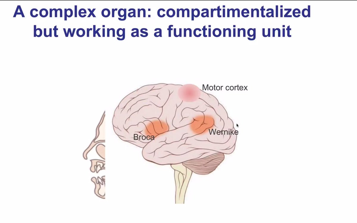 ca_iaquaniello's tweet photo. A flawless, insightful lesson regarding the beautiful complexity of our favorite organ by the great @ZanierElisa!

#Brainmasters #ESICM https://t.co/2oSc0e9tC7