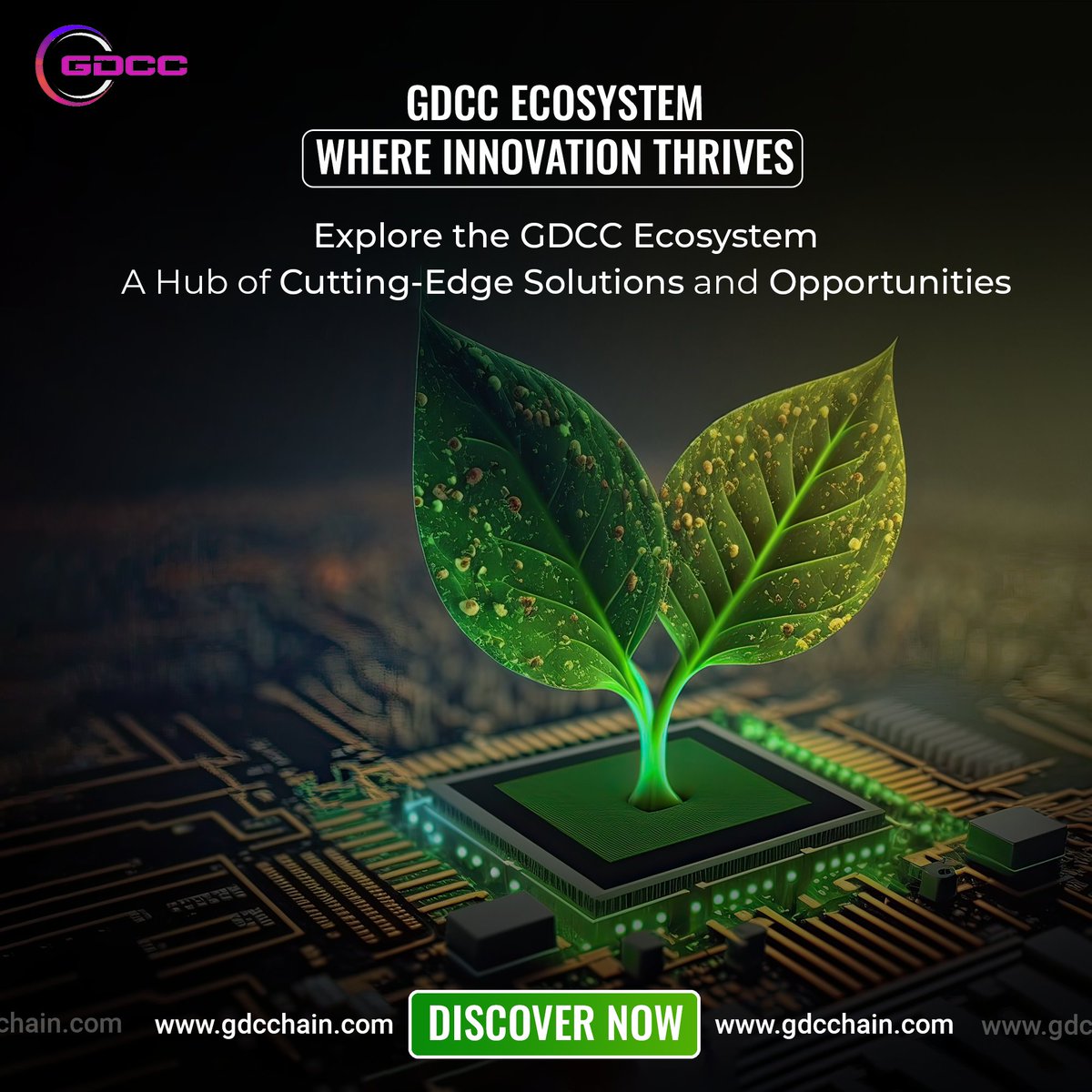 cluster_coin's tweet photo. Unlock Innovation with #GDCC Blockchain Ecosystem.
Our #ecosystem is your playground for secure and #decentralized solutions. From smart contracts to digital assets, GDCC is redefining the #blockchain landscape.
#GDCCBlockchain #Innovation #gdccommunity #GDCCScan #gdcchain https://t.co/a9NyfxD0Ce