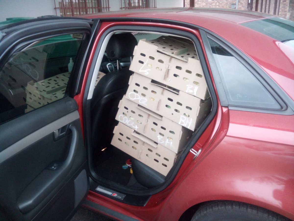 Collecting your day old chicks 101 😂:

1) make sure your brooder is ready before going to collect your chicks. 2) Vitamins and minerals must be freshly placed that morning.
3) they don't have to find feed on arrival but they must find water. Some farmers prefer they drink first