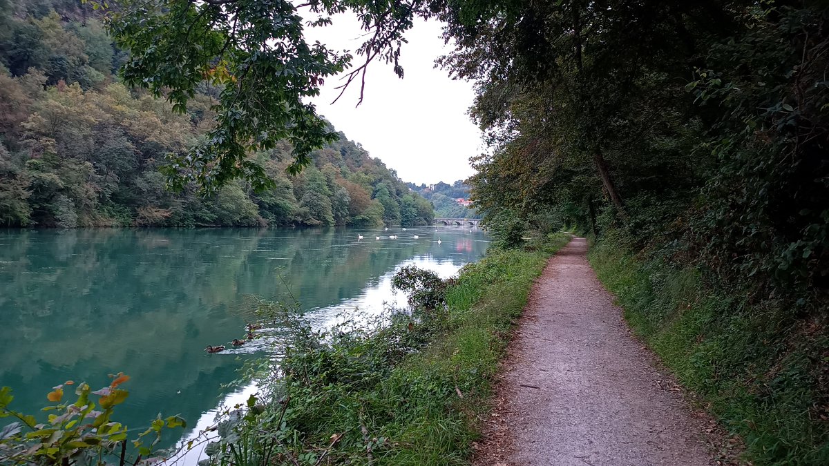 luigifoschini's tweet photo. 🏃‍♂️#runningtime #iocorroqui #RunItaly https://t.co/m4uu9O6Noe