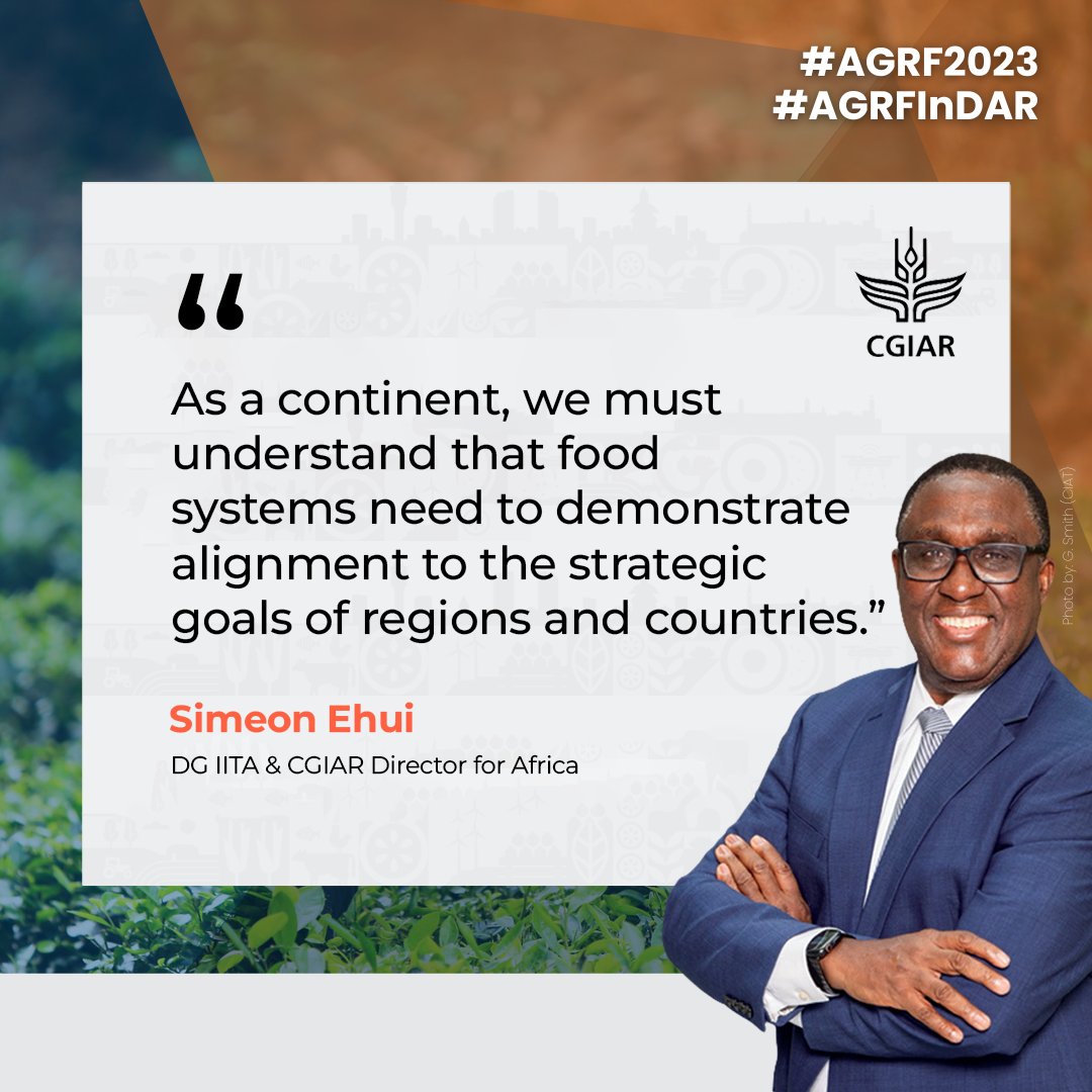 IITA_CGIAR's tweet photo. IITA DG &amp; @CGIAR Continental Director for Africa Dr @simeonehui speaking at the opening session of the #ongoing @TheAGRF said Africa needs to be strategic with food systems by demonstrating alignment to goals of regions &amp; countries.
.
#foodsystems #AGRF2023 #zerohunger #OneCGIAR https://t.co/ENmbPMHXVW