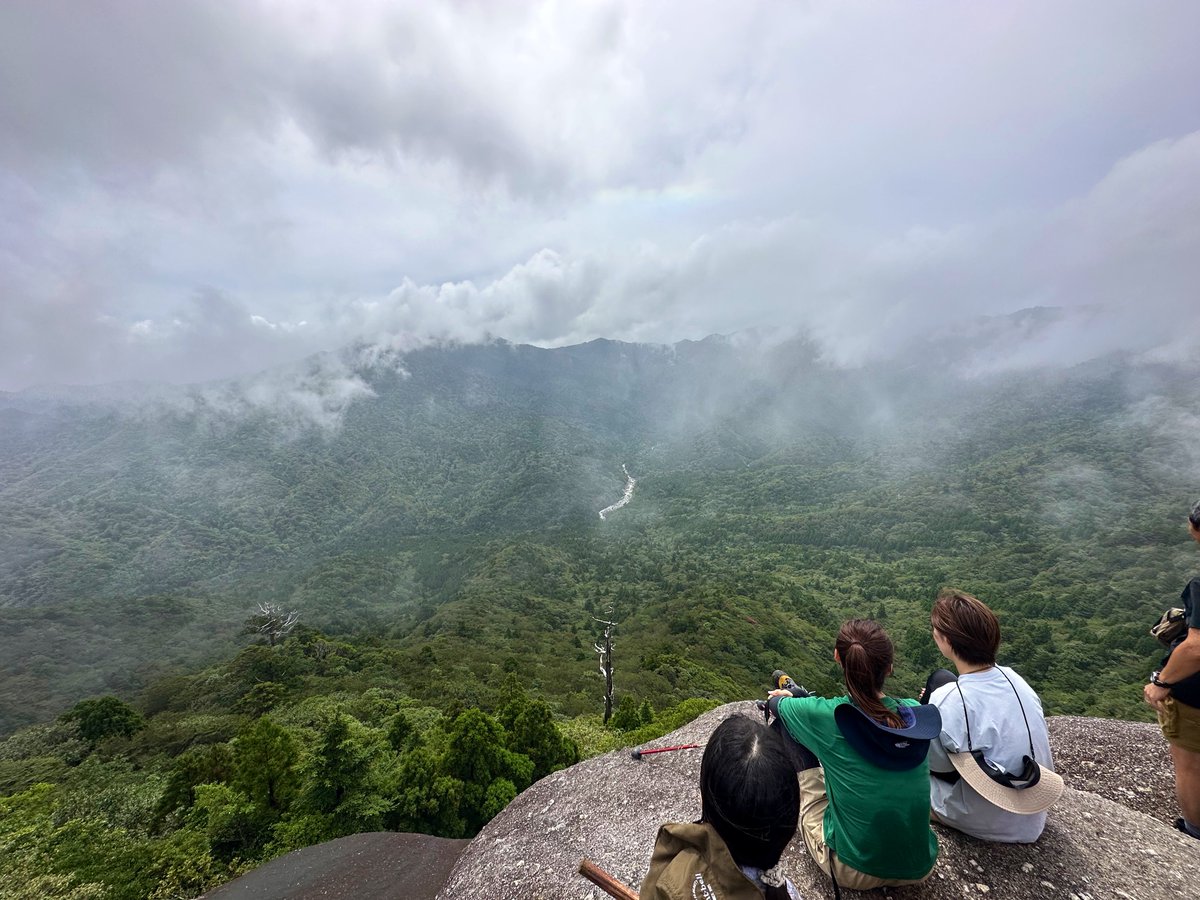 as (@aspoyonn) on Twitter photo 