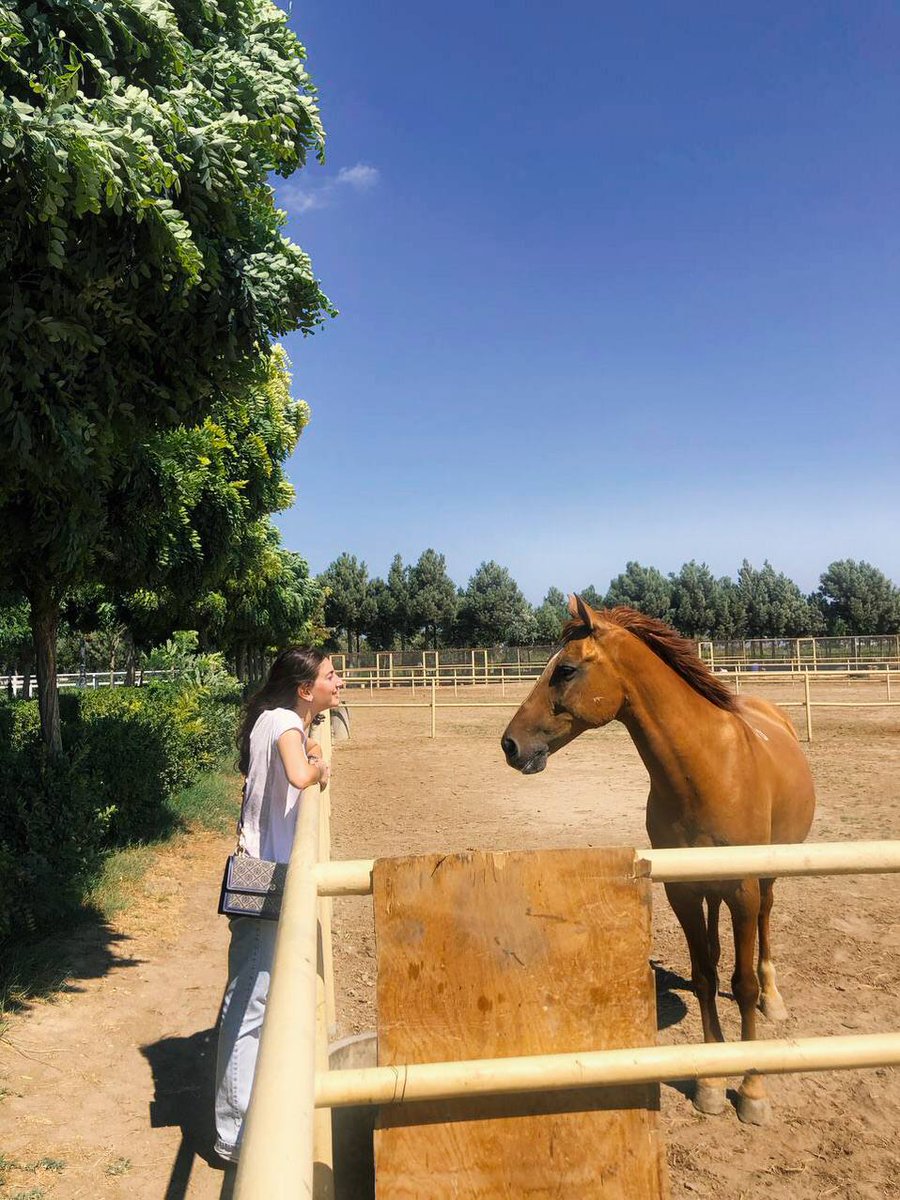 _danyewa_'s tweet photo. At ilə söhbət etməyəndə nəbilime 
✨️🐴 https://t.co/4o7bZsEqSy
