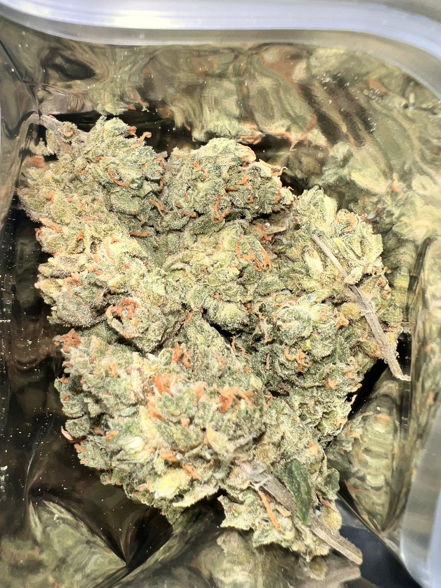 TheJoe420weed's tweet photo. รีทวิต=สุ่มแจกจริงๆ โพสสำหรับลูกเพจ ใครที่รีทวิตใว้ มารับรางวัลครับ ๆ ในไลท์เลยครับ #กัญชา #ขายกัญชา #og #กัญชารังสิต #กัญชากรุงเทพ #กัญชาปทุม #กัญชาคลอง1 #กัญชาดอนเมือง #กัญชานนทบุรี #กัญชาเมืองเอก #กัญชาเมืองทอง #กัญชาปากเกร็ด #กัญชาพระราม5 #กัญชาราคาส่ง #weedthaitand #สายเขียว https://t.co/vErEp4GGm9