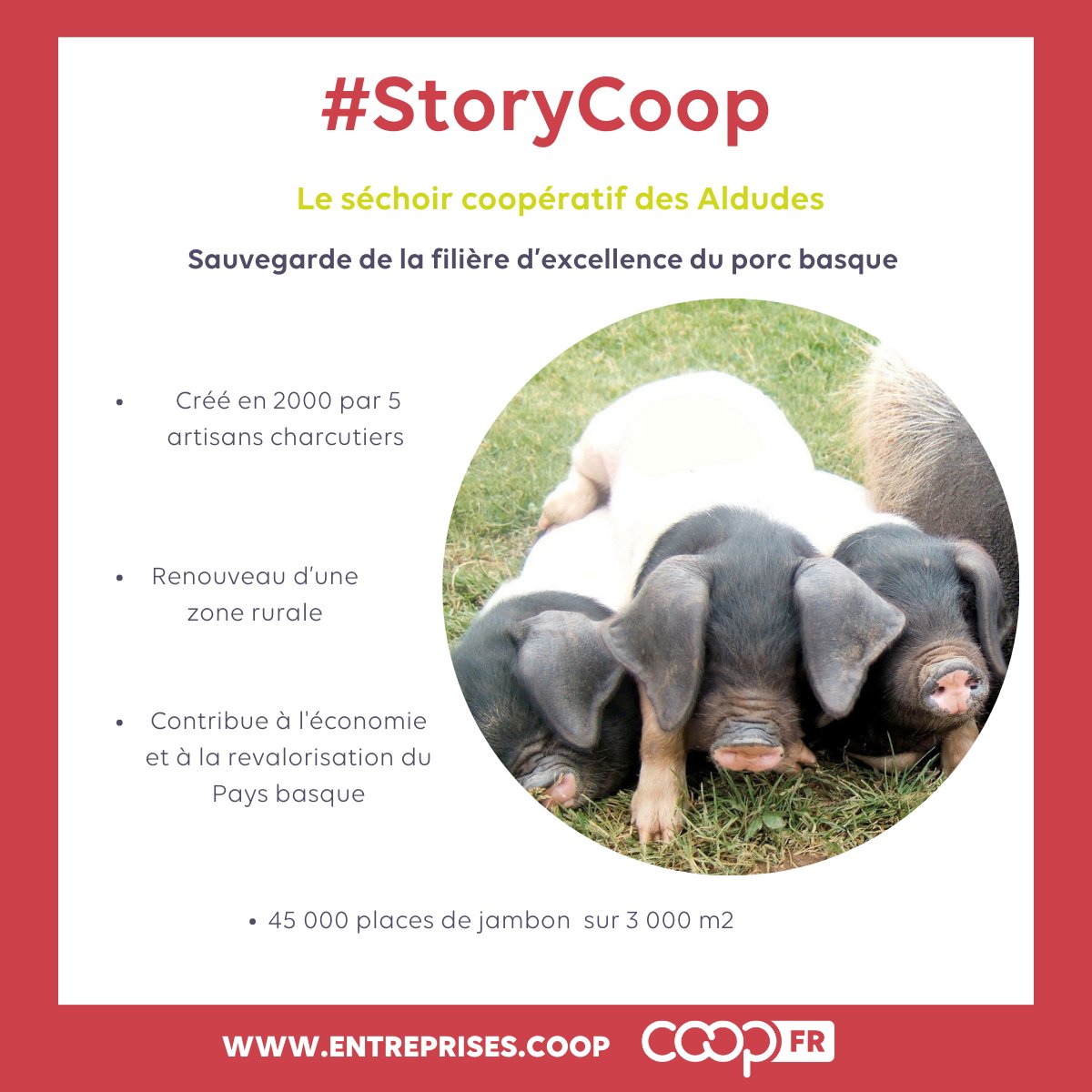 CoopFR tweet media