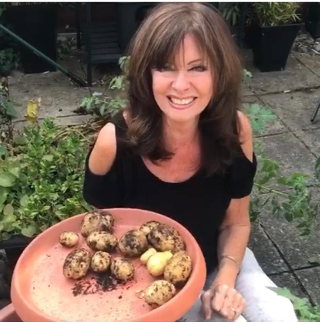 It’s Organic September. Here are some spuds I grew. Not many but very rewarding. Still waiting for the tomatoes Think I was a bit late with them.   #OrganicSeptember #tuesdaymotivations