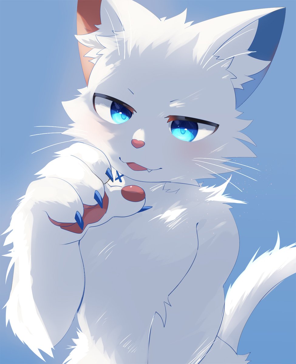 TabiNekoShiro's tweet image. 🐾 #シロの自由帳