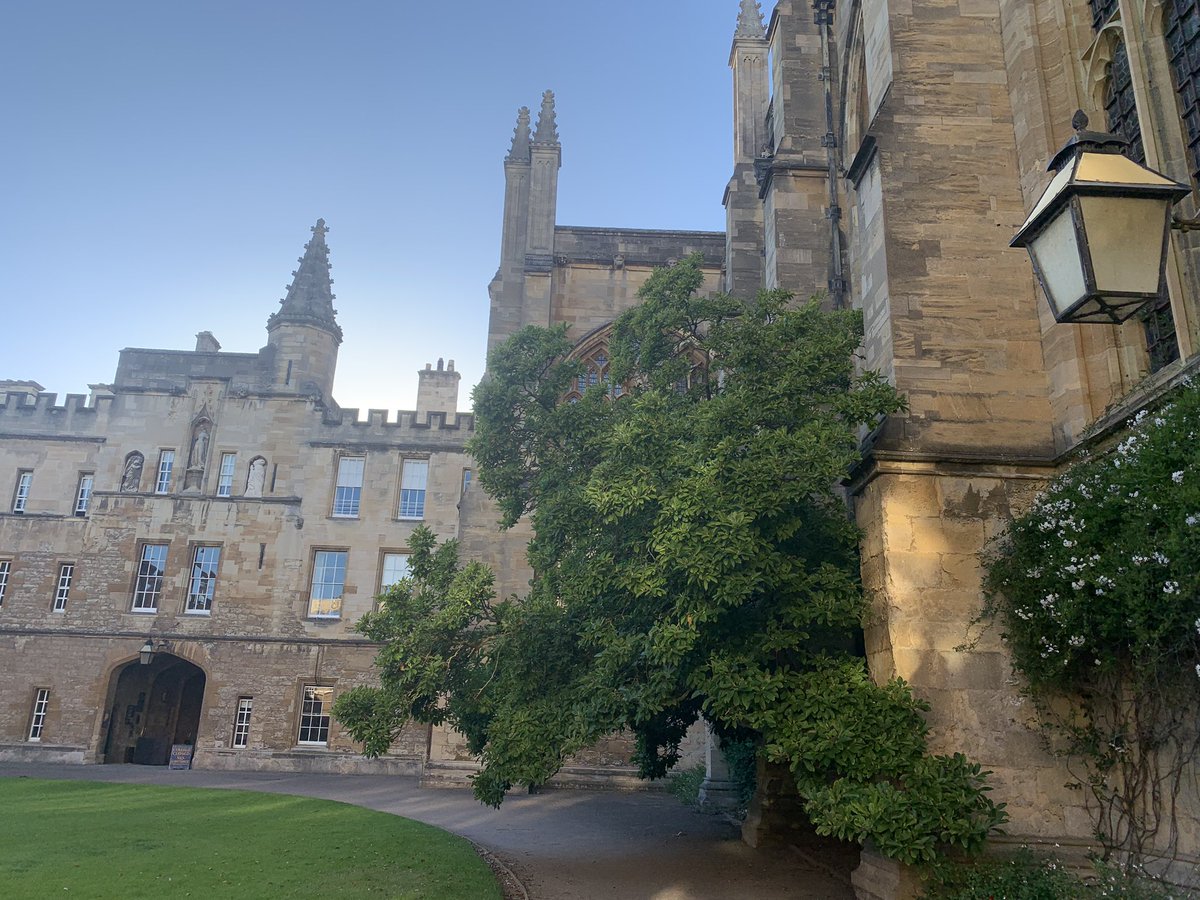 Lisa Russell tweet media