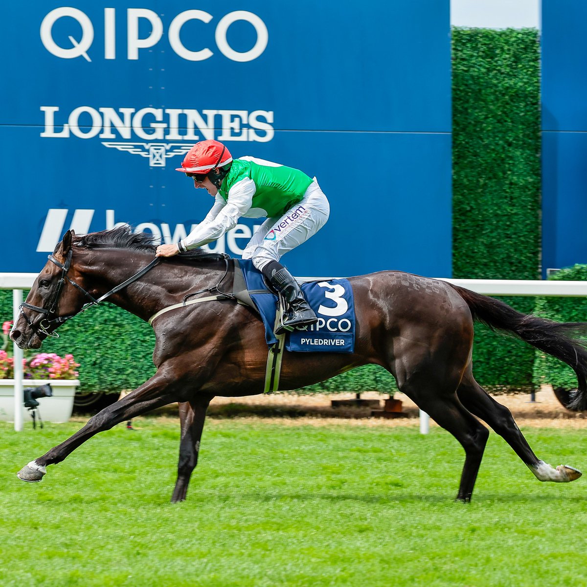 RacingPost's tweet photo. ⭕️ Pyledriver, winner of last year's King George and the Coronation Cup in 2021, has been retired after the recurrence of a suspensory ligament injury to his off fore, trainer William Muir announced on Tuesday https://t.co/nZeNDp6Qdo