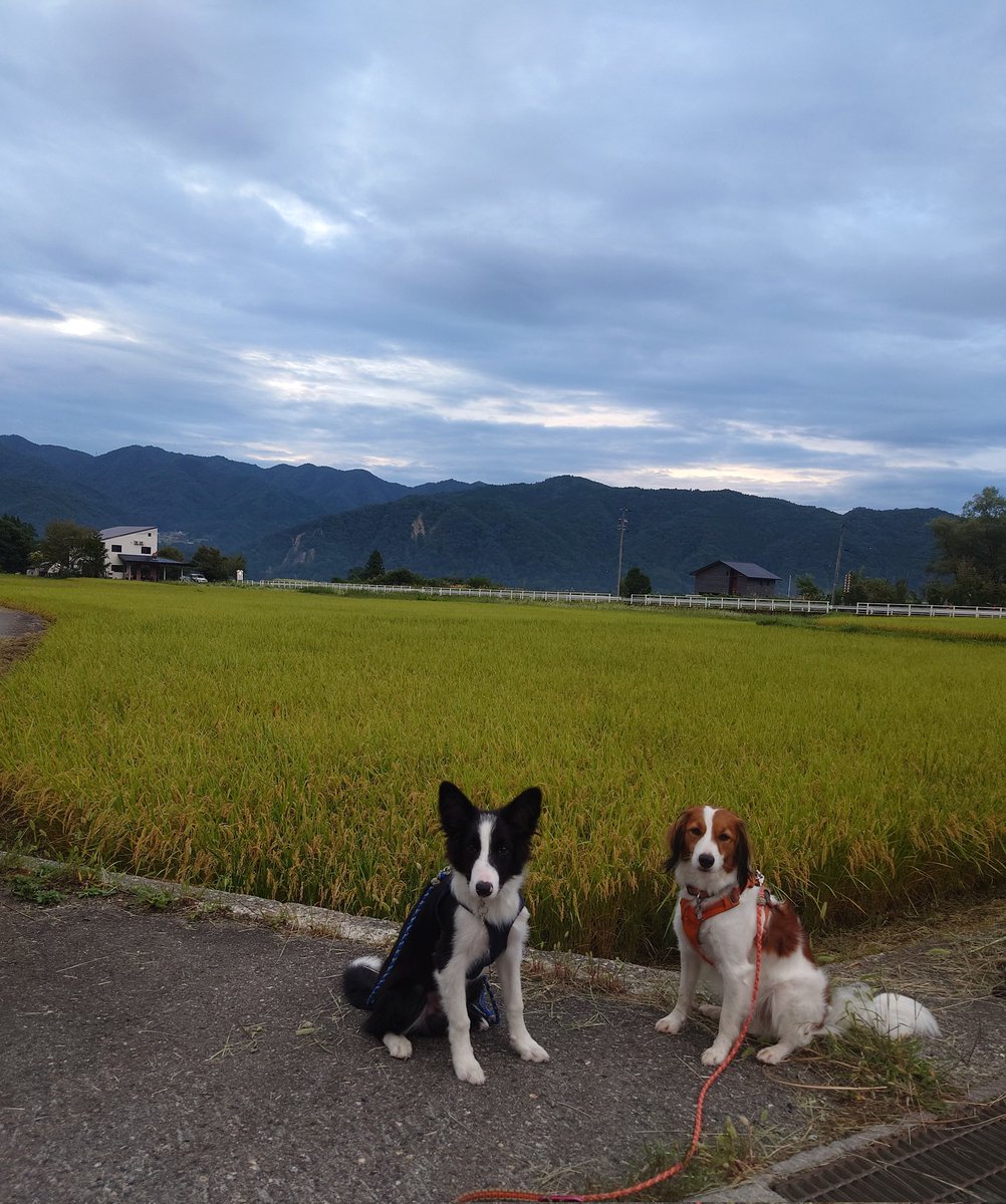 rafionopapa's tweet photo. 白馬でカヤックと川遊び🎵 https://t.co/B30aFON1Qr