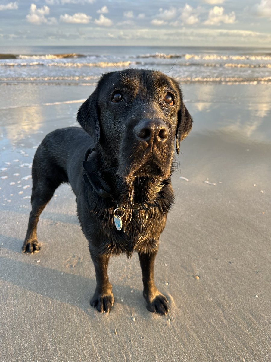 „Das Herz des Menschen ist sehr ähnlich wie das Meer. Es hat seine Stürme, es hat seine Gezeiten und in seinen Tiefen hat es auch seine Perlen.“
(V. van Gogh)
🦪

*Perlentaucher*