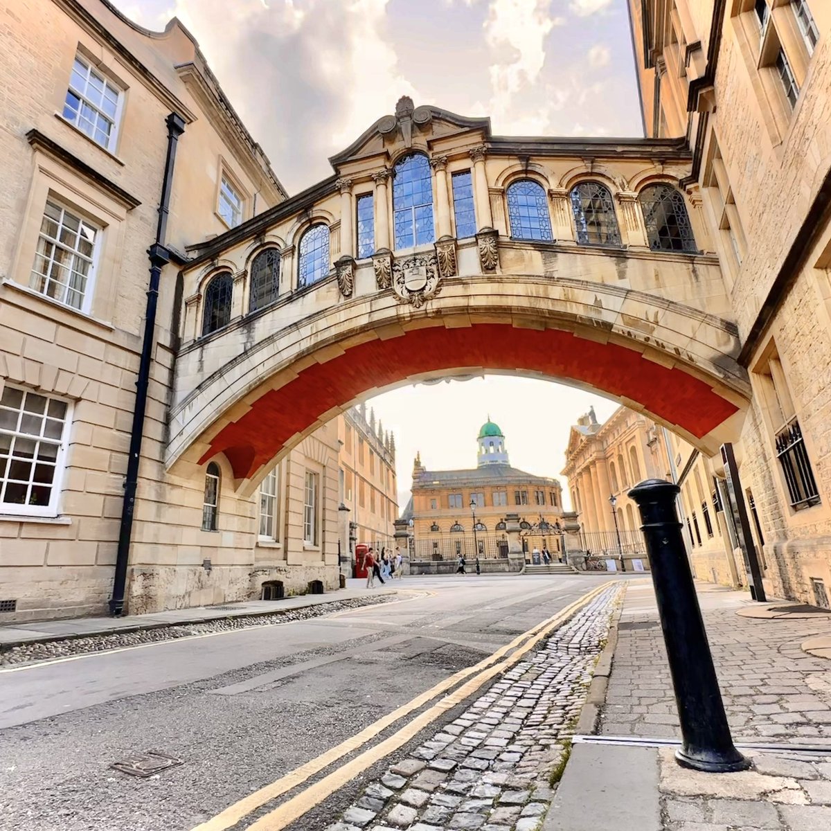 Wico Mulder tweet media