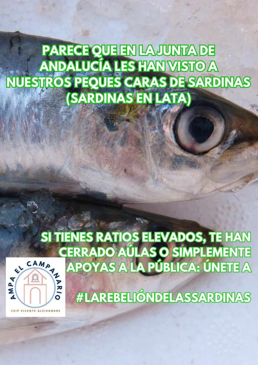 Únete a nuestra campaña de redes: #LaRebelióndelasSardinas . Porque nuestros alumnos se merecen la mejor de las atenciones y estando como sardinas en lata en las clases eso no es posible. Más inversión en la pública <a href="/EducaAnd/">Consejería Desarrollo Educativo y FP</a>, <a href="/Patricia_Pozo_/">Patricia del Pozo</a> 
#BajadadeRatio 
<a href="/VicenteCeip/">CEIP Vicente Aleixandre (La Algaba)</a>