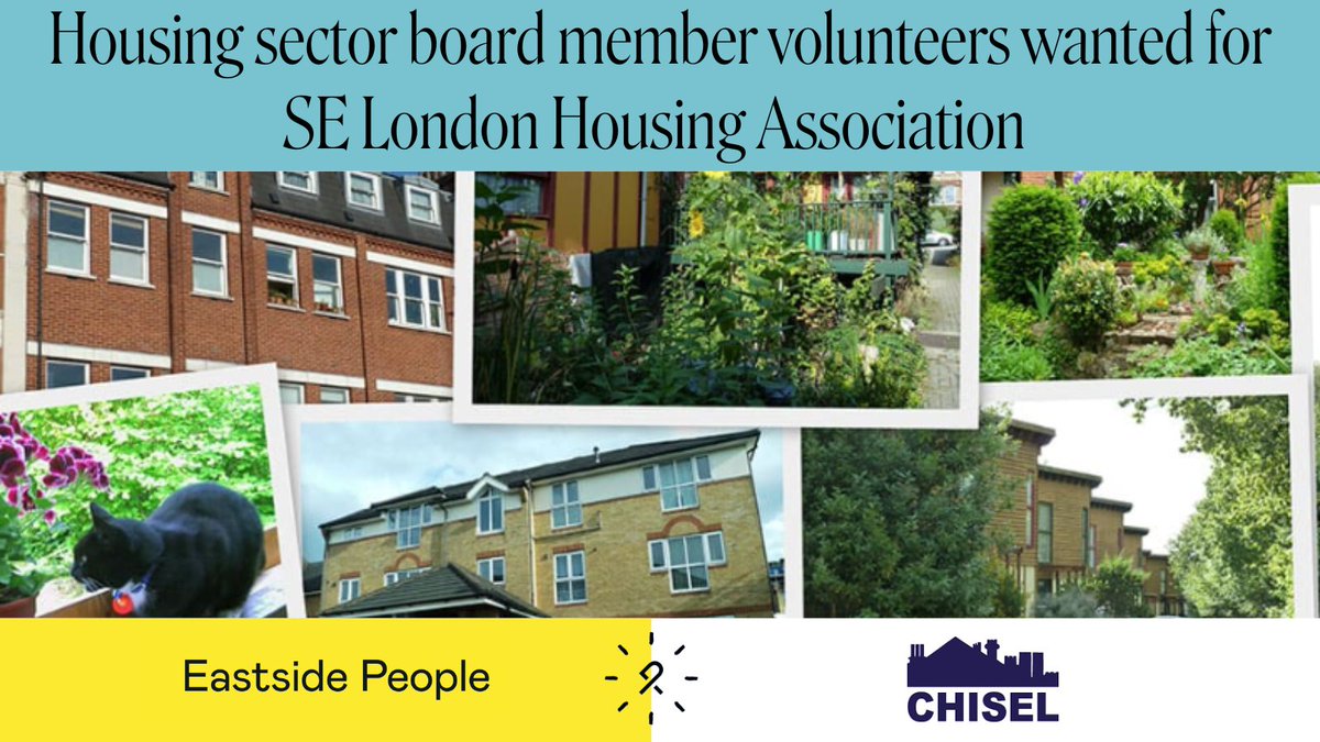 Do you have Asset Mgt/Strategic Finance/Risk expertise & would like to help run a housing association that provides homes for families & single people in need in Southeast London? Join the Board of CHISEL Housing Association. Details: eastsidepeople.org/vacancy/chisel…  #CharityTrustee