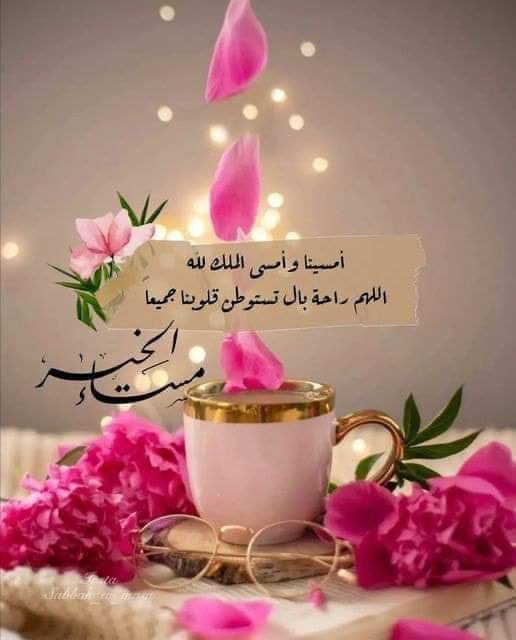 طالبة الغفران tweet media