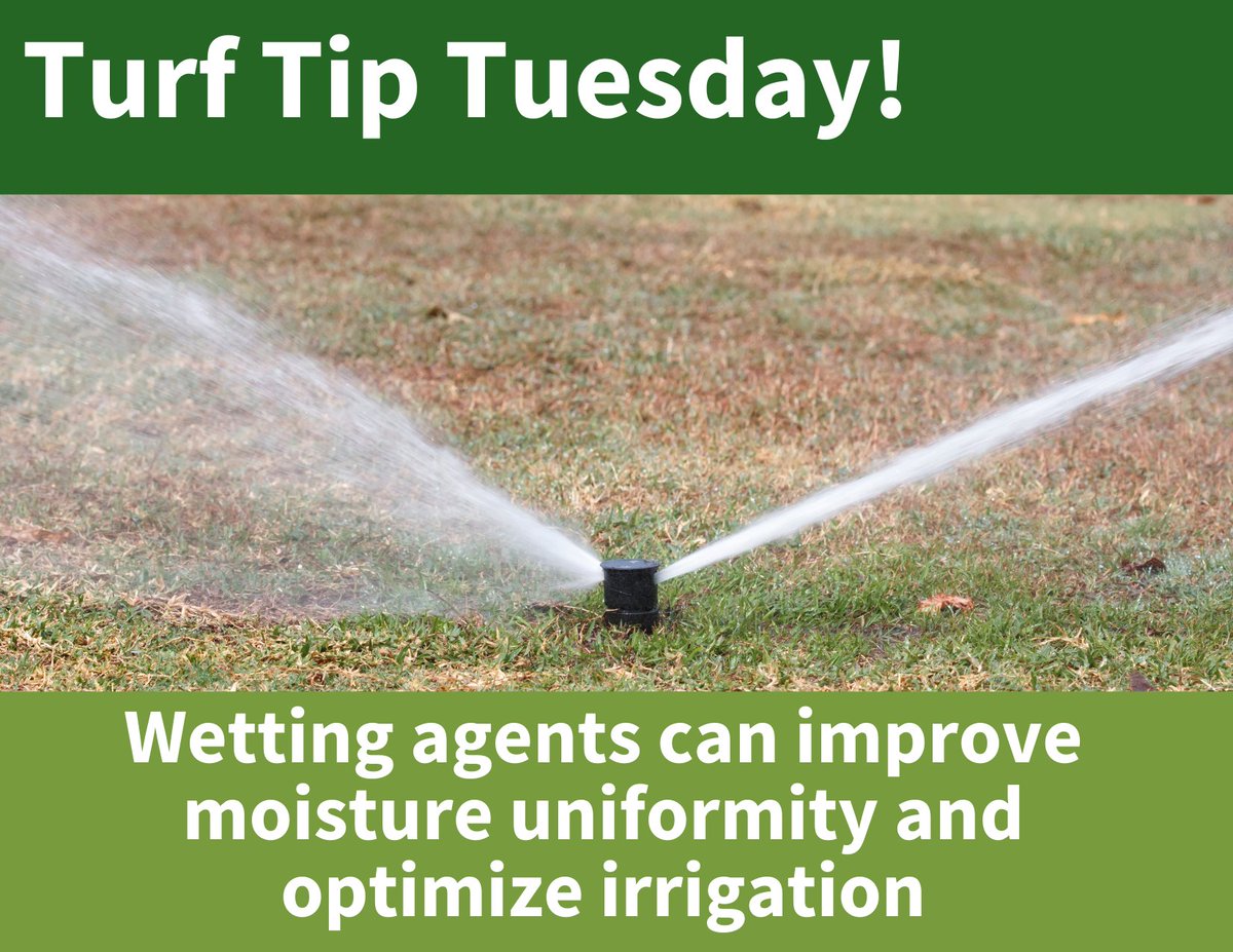 AquiMaxTurf's tweet photo. Don’t stress about over or under watering. Wetting agents improve soil moisture uniformity and water-use efficiency.Optimize irrigation on turf so you don’t have to stress. Learn about wetting agents can provide here https://t.co/aoRpuaWeDf #turfmanagement #turftips #turftwitter https://t.co/kzXuIynqEv