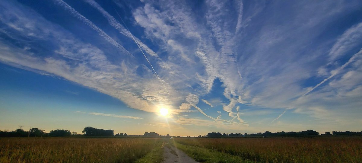Good morning from the Jackson Marsh!