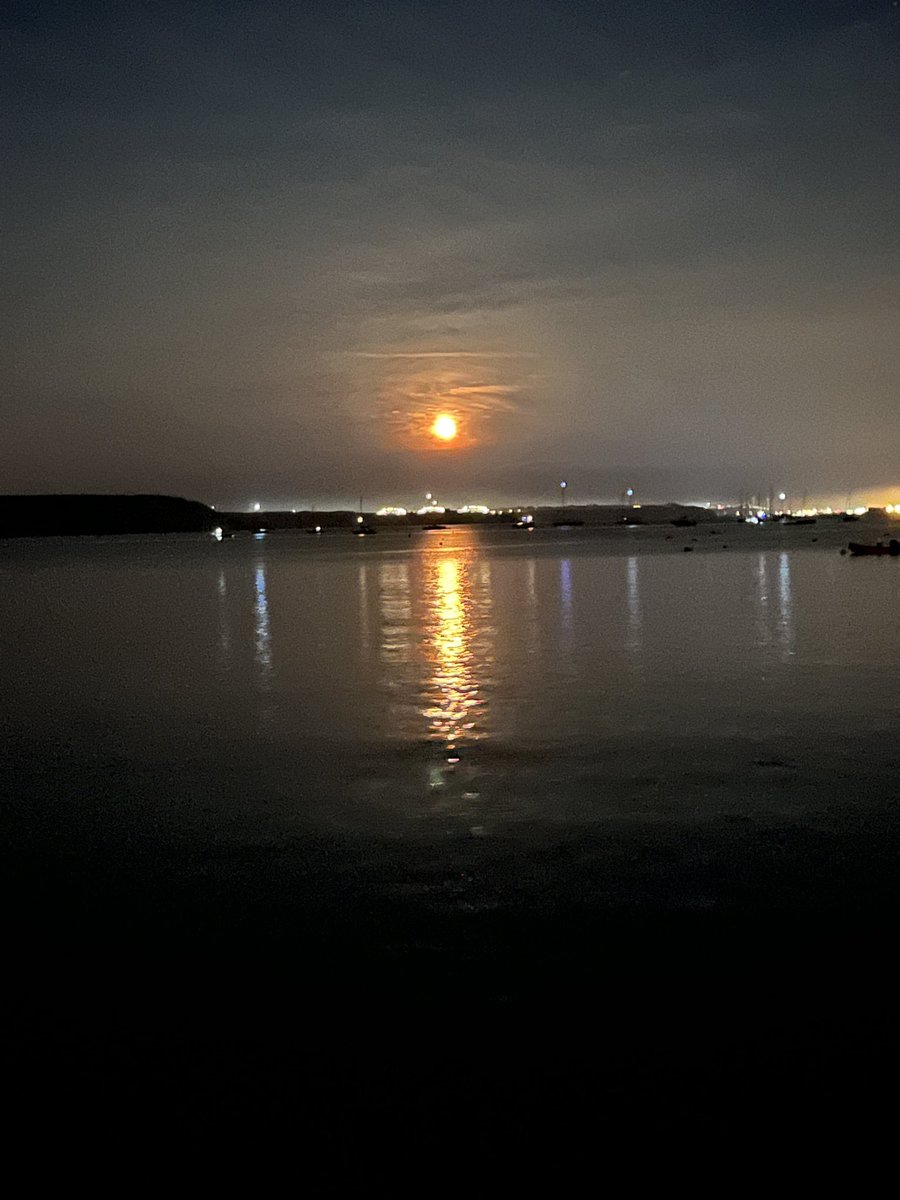 Dr Chiara Bertelli 💙🌱🐠🐋 tweet media