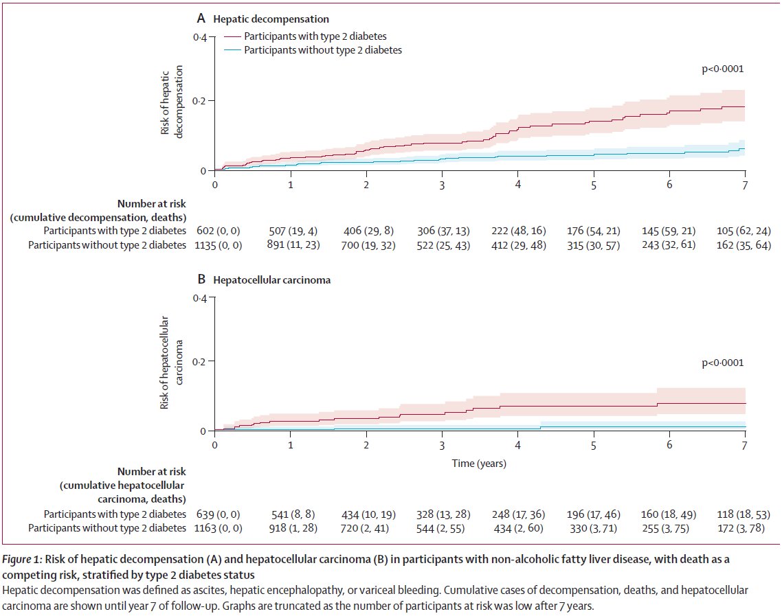 ICYMI, in our latest issue, Daniel Huang and colleagues estimate the risk of hepatic decompensation and hepatocellular carcinoma in patients with non-alcoholic fatty liver disease and type 2 diabetes thelancet.com/journals/langa… #LiverTwitter @DrHuangDQ @DrLoomba