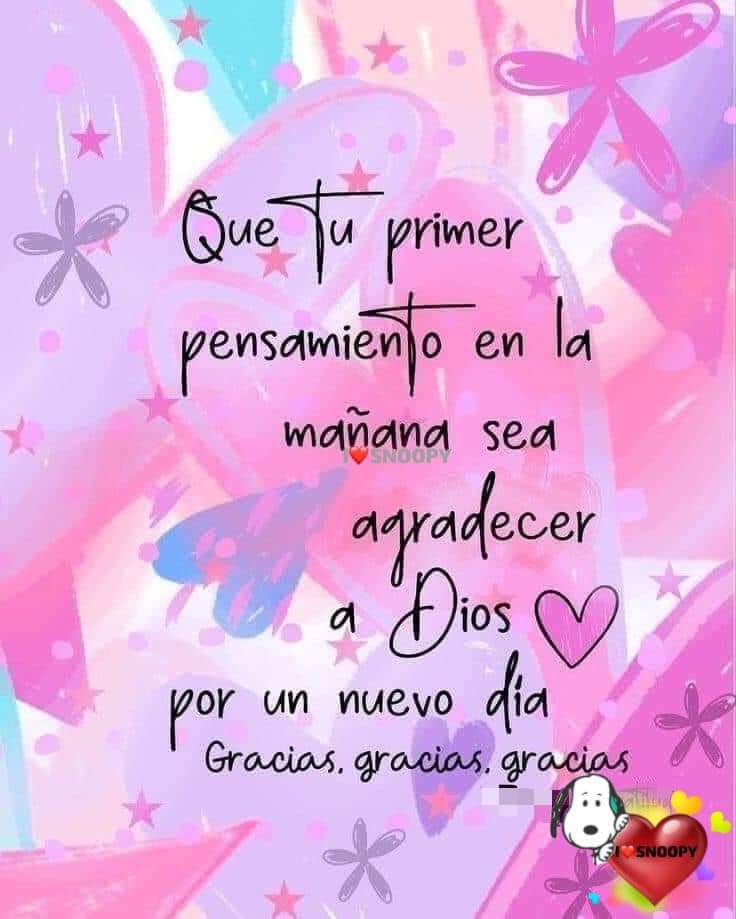 JuanaGarciaFL's tweet photo. Buenos días 🌼 https://t.co/ZaoSA4vyUR