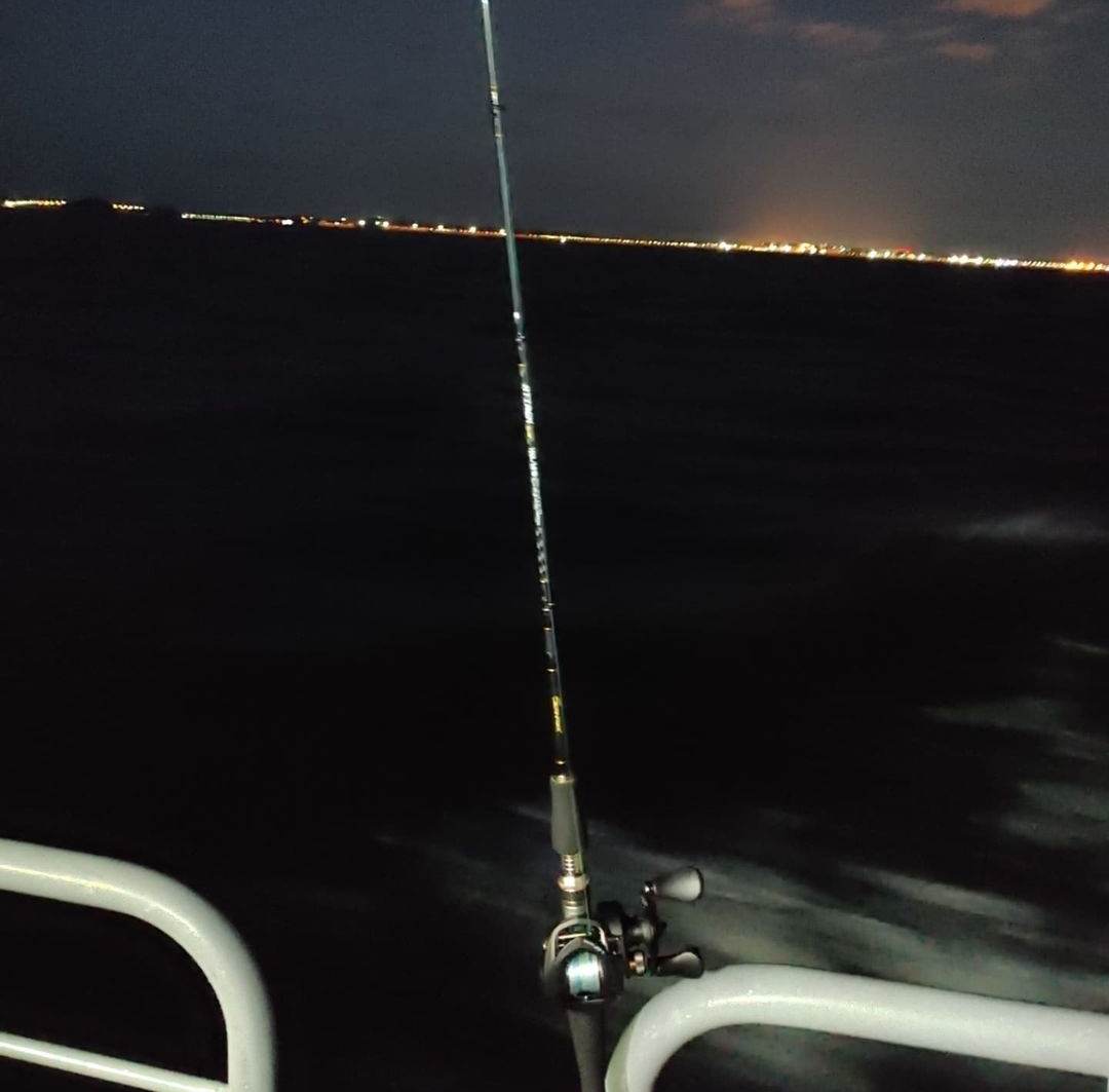 malam woontuals, maaf baru kelihatan sekarang. habis pulang dari mancing ikan nih, kalian habis ngapain? ayo kasih TMI kalian, biar bisa jadi convoy.