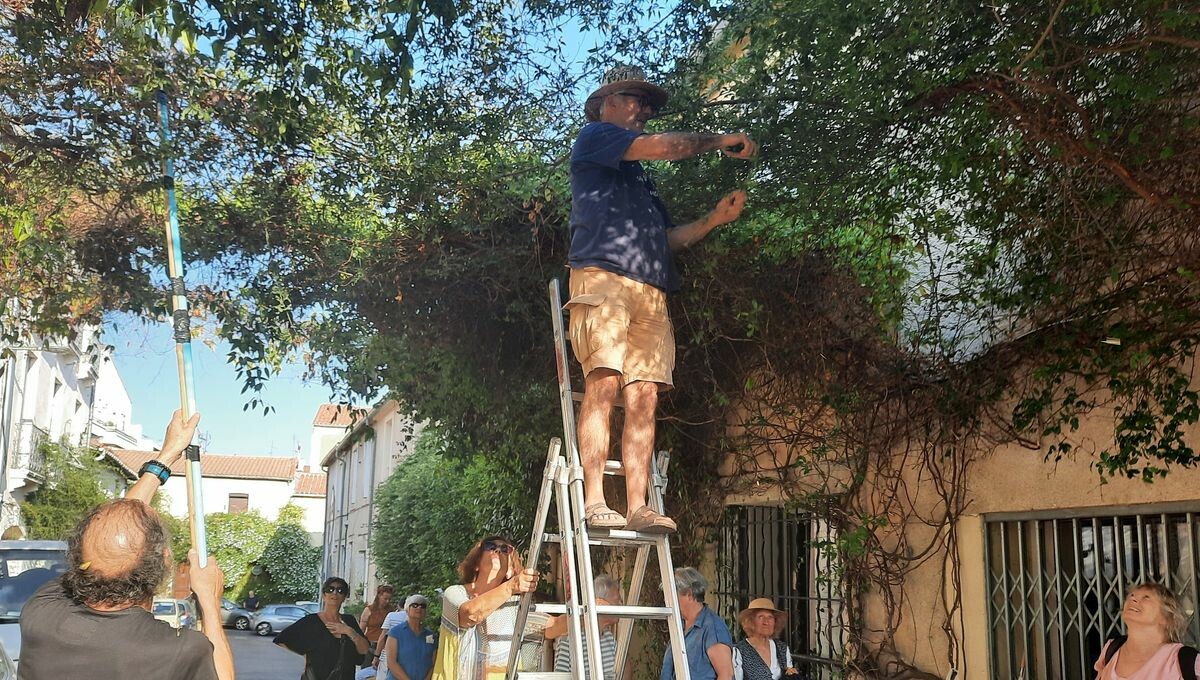 Ces habitants de Montpellier végétalisent leur quartier depuis 20 ans. Et font baisser la température dans leurs appartements !

➡️ l.franceinter.fr/klM
#EspritDinitiative <a href="/ccbidault/">Cécile Bidault</a>