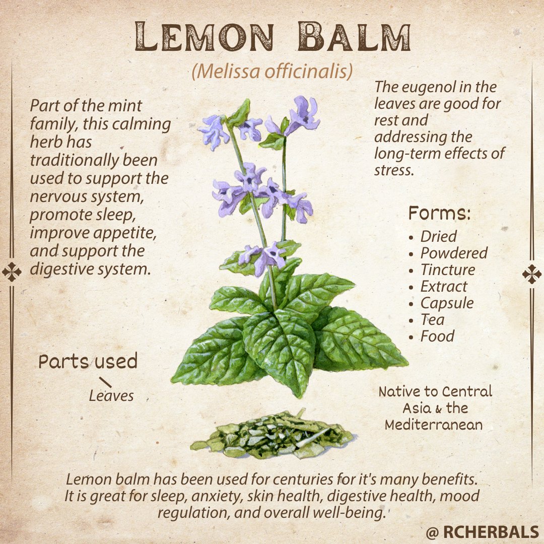 RCHerbals's tweet image. 🍋✨ Add a dash of tranquility to your life with Lemon Balm! 🌞 

#LemonBalmBliss #NaturalRelaxation #SerenityInACup #Herb #Herbal #LemonBalm #Herbs #Herbal #Rest #Peace #Calm #Herb #Herbal