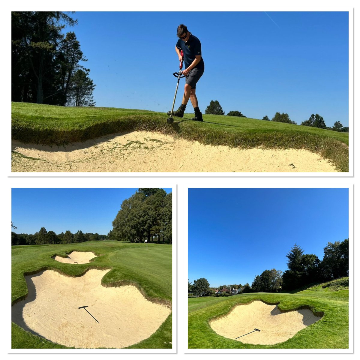 The bunkers were looking sharp in the sun after a tidy up from the team today. The course is benefiting greatly from this short heatwave! 👏🏼☀️