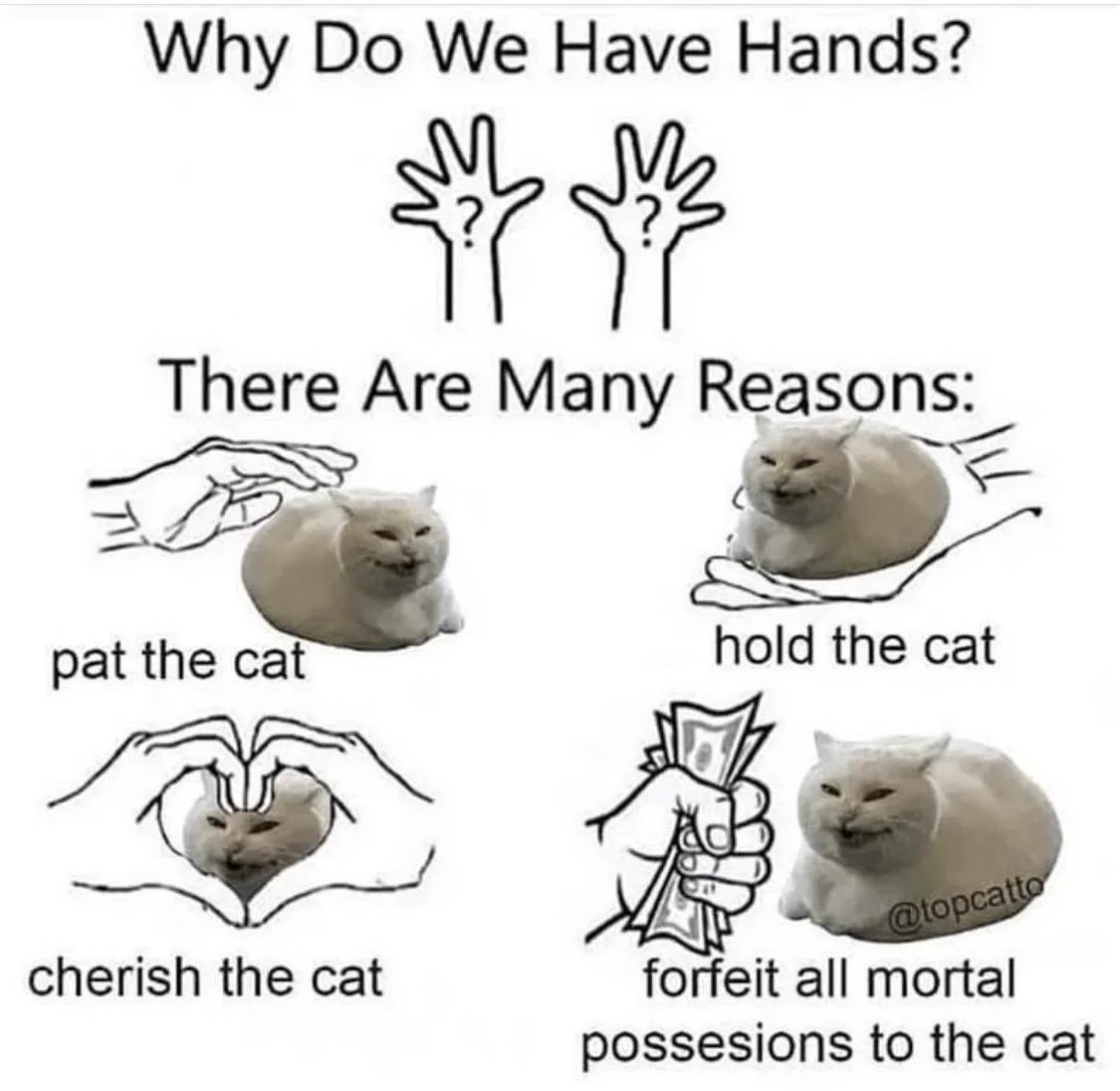 RespectfulMemes's tweet photo. https://t.co/srcmwSGMwJ