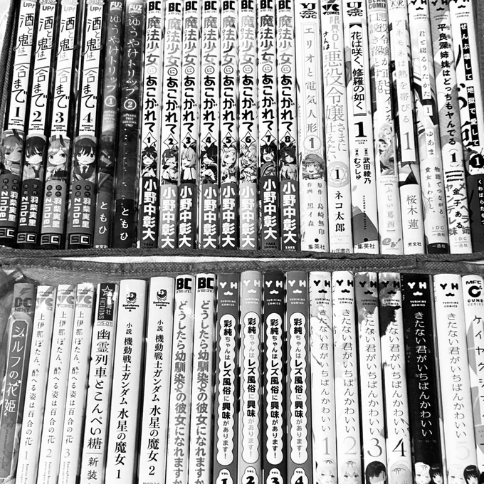 これをごそっと読ませて百合堕ちさせたい 