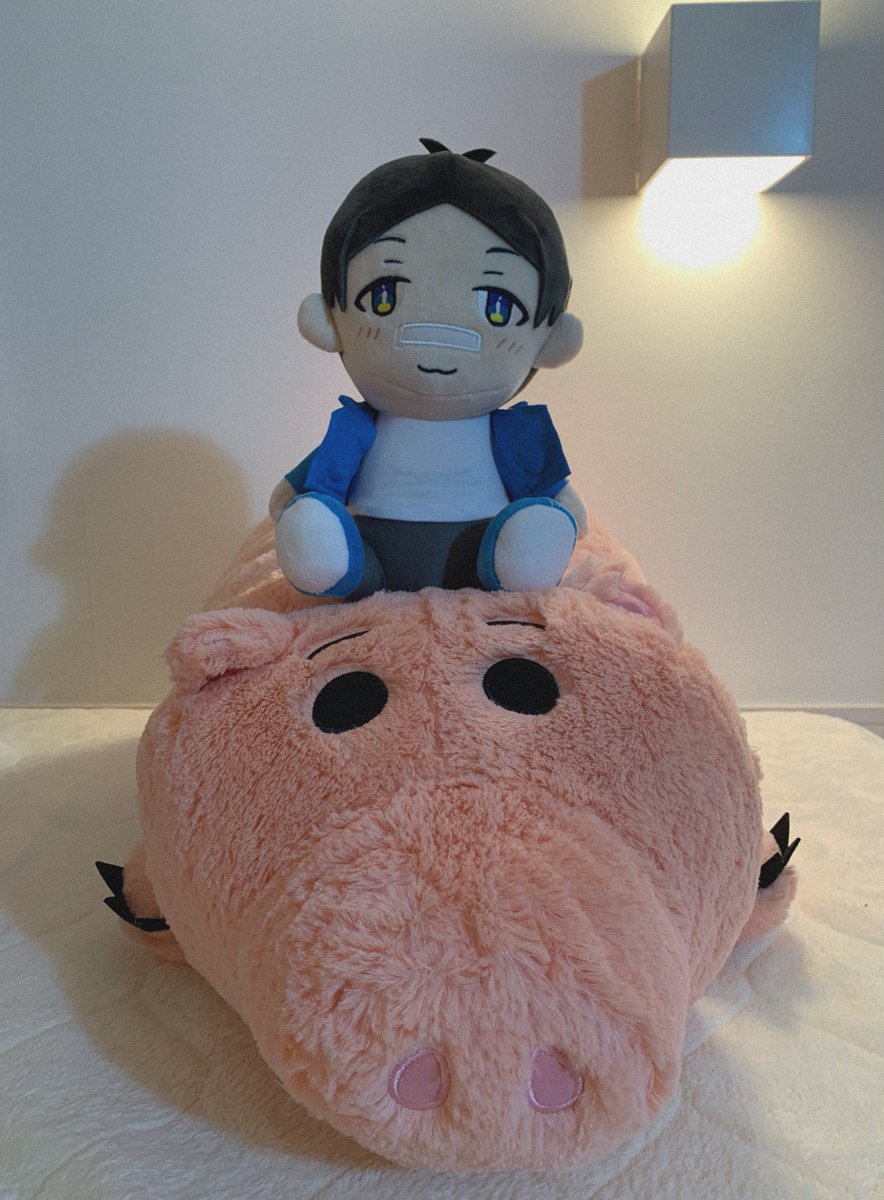 コレコレぬいぐるみ