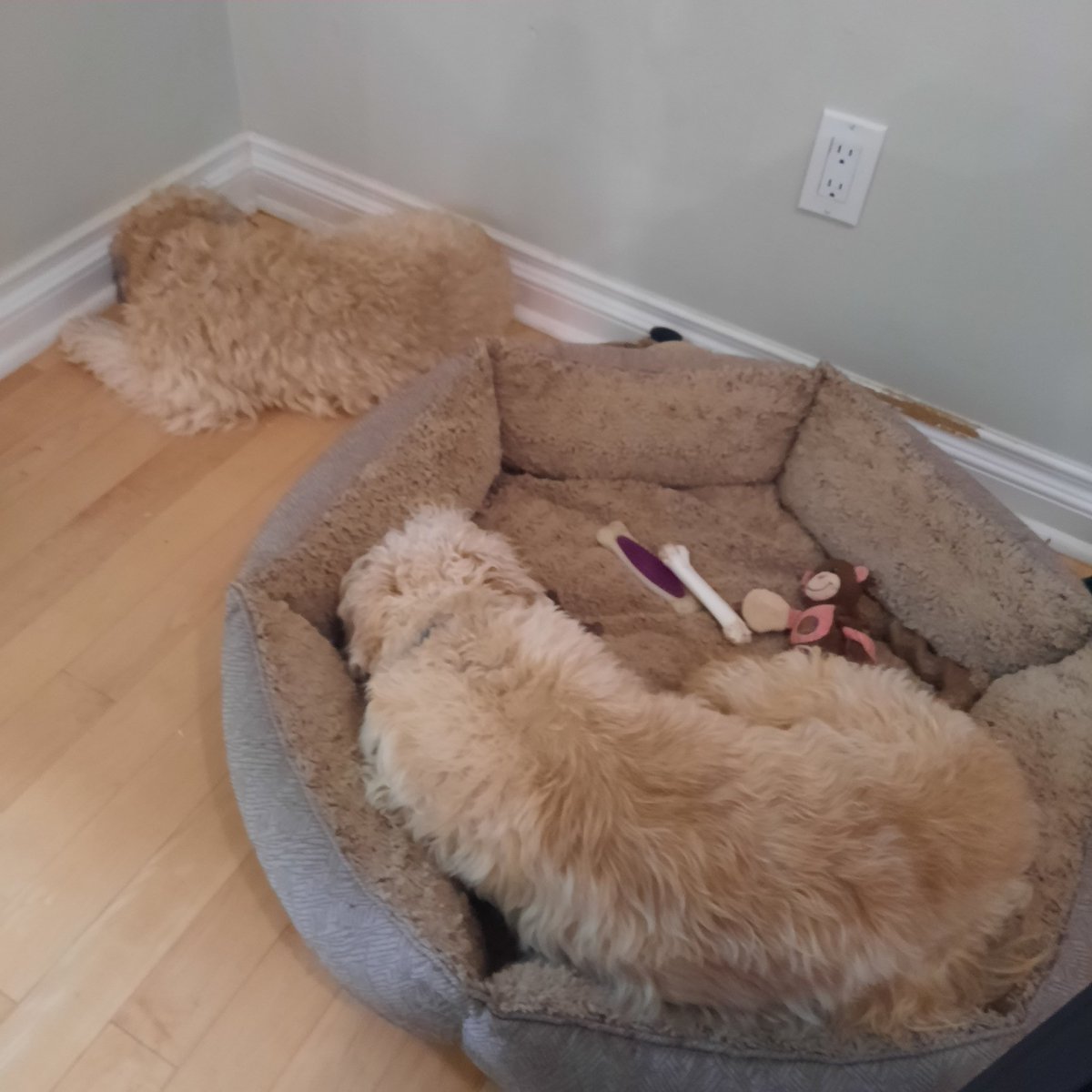 Michael Morris tweet media