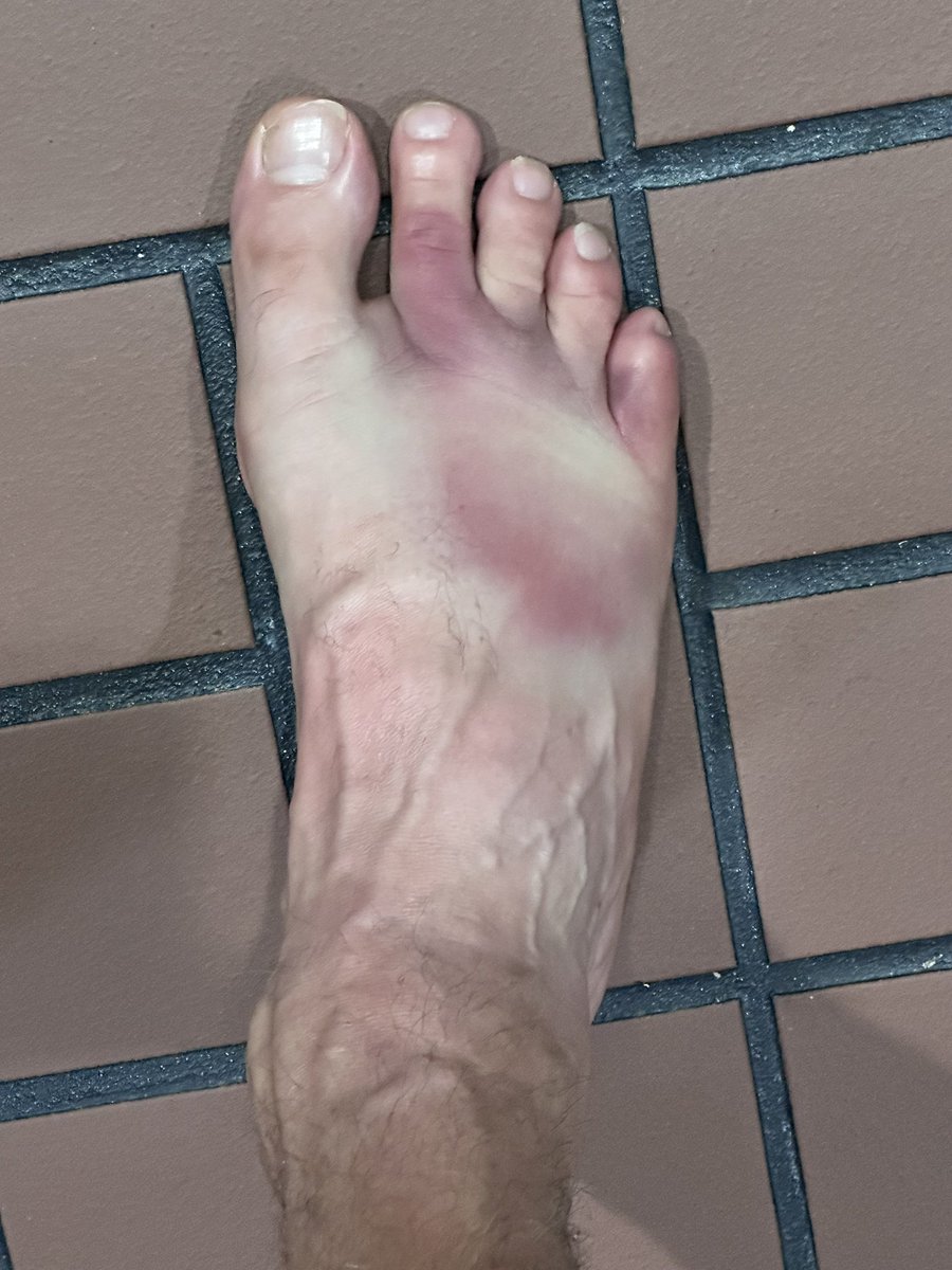 John Sciacca tweet media