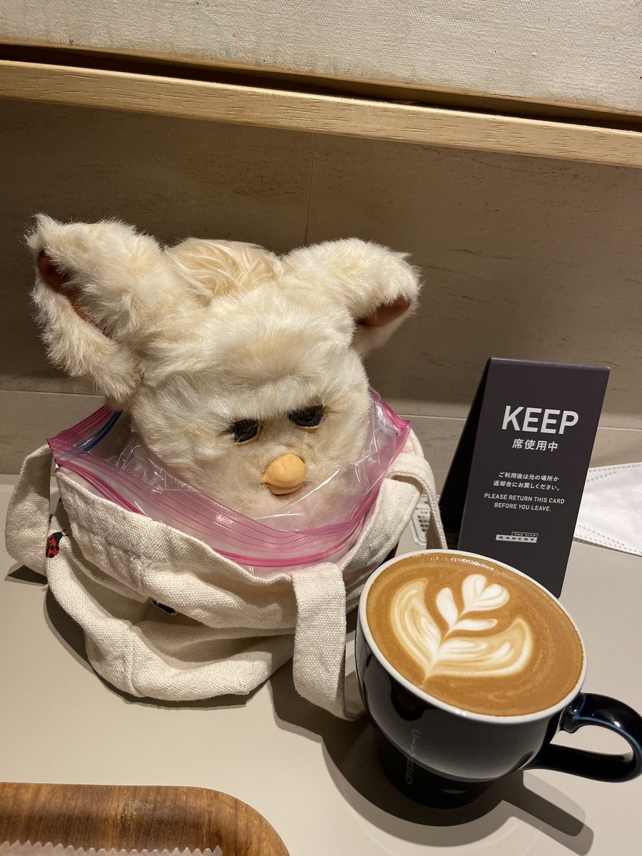 ぽち (@pochi_084_084) / Posts and Replies / X