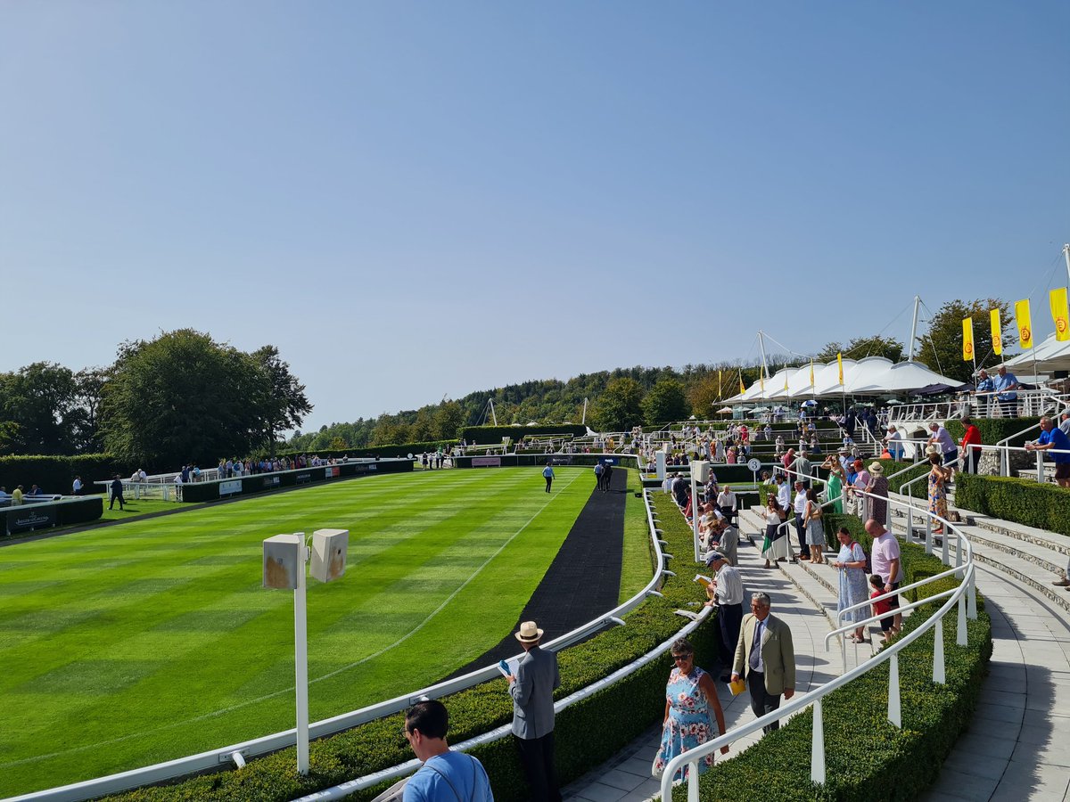 Lovely day @Goodwood_Races Good to see the fantastic local charity Sage House being the chosen charity of the year 🙏👏 #Goodwood