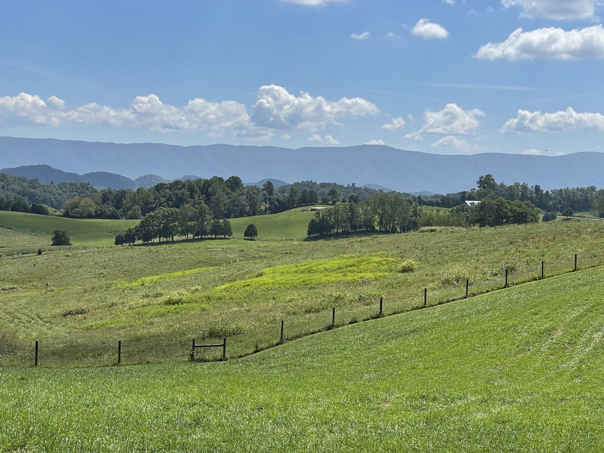 My Monday morning….Tennessee with my family on the farm. #rechargemybattery