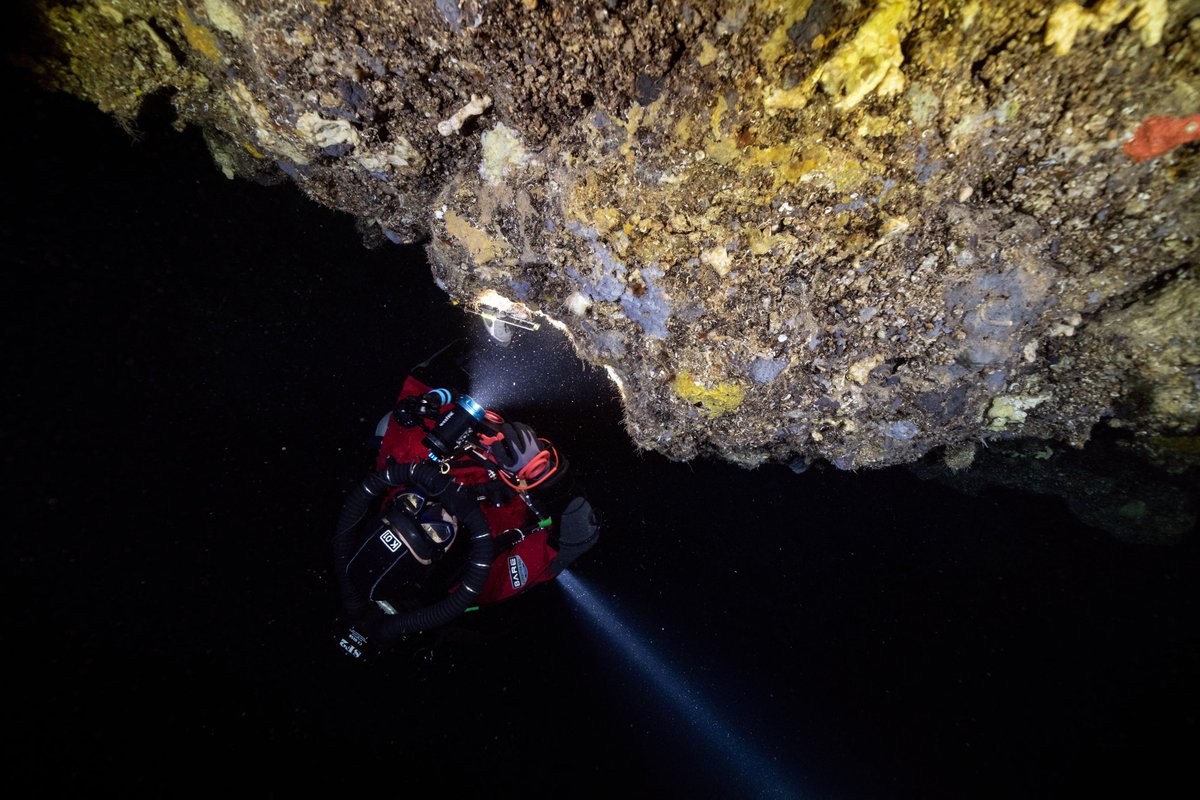 Studying the dark side of the cave!
.
.
📸 <a href="/vtsiairis/">Vassilis Tsiairis</a> #cave #cavedivingphotography #cavedive #rebreatherdiving #ccrexplorers #ccrdiving #scubadiving #scubaforce #scubadiver #tecdiving #techdiving #marinebiology #marines #marineconservation #marinebio #ecology <a href="/enaliaphysis/">Enalia Physis ERC</a>