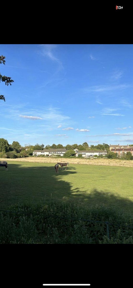 @drrozhall <a href="/RootsAllotments/">Roots Allotments</a> <a href="/DeborahMeaden/">Deborah Meaden 🇺🇦</a> <a href="/ChrisGPackham/">Chris Packham</a> <a href="/Ben_garrod/">Prof Ben Garrod</a> <a href="/TeePeePip/">Pip A'Ness</a> <a href="/ClimateRadio/">Phil England</a> <a href="/TheBristolCable/">The Bristol Cable</a> <a href="/soloparentuk/">Solo Mama</a> <a href="/Saralimback/">Sara Venn 🏳️‍🌈🏳️‍⚧️ she/her</a> <a href="/DanicaPriest/">Danica Priest🦇🦎🦇🦎🍃💚🍃</a> <a href="/ZoeBanksGross/">Zoe Banks Gross (she/her)</a> They’re coming to Eltham Palace Royal Grounds they’re going to destroy beautiful historical grazing lands and invade our back gardens the horses are being driven out and the wildlife to make way for plots