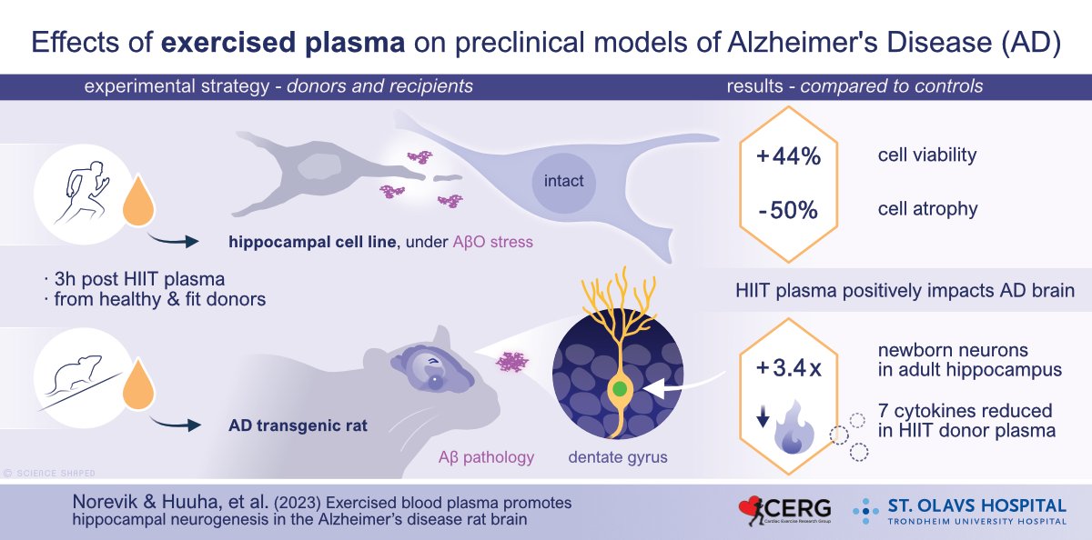 Ellen Tenstad (@ellentenstad) on Twitter photo Study on #FitPlasma & #Alzheimer's:
sciencedirect.com/science/articl…
Featured on national television website:
nrk.no/trondelag/1.16…
🔍#ExPlasStudy <a href="/CERG_NTNU/">CERG</a> <a href="/StOlavshospital/">St. Olavs hospital</a>
✍️<a href="/CecilieNorevik/">Cecilie Skarstad Norevik</a> Aleksi M. Huuha <a href="/AtefeTari/">Atefe R. Tari</a> et al.
🖌️#ScienceShaped Study on #FitPlasma & #Alzheimer's:
sciencedirect.com/science/articl…
Featured on national television website:
nrk.no/trondelag/1.16…
🔍#ExPlasStudy <a href="/CERG_NTNU/">CERG</a> <a href="/StOlavshospital/">St. Olavs hospital</a>
✍️<a href="/CecilieNorevik/">Cecilie Skarstad Norevik</a> Aleksi M. Huuha <a href="/AtefeTari/">Atefe R. Tari</a> et al.
🖌️#ScienceShaped