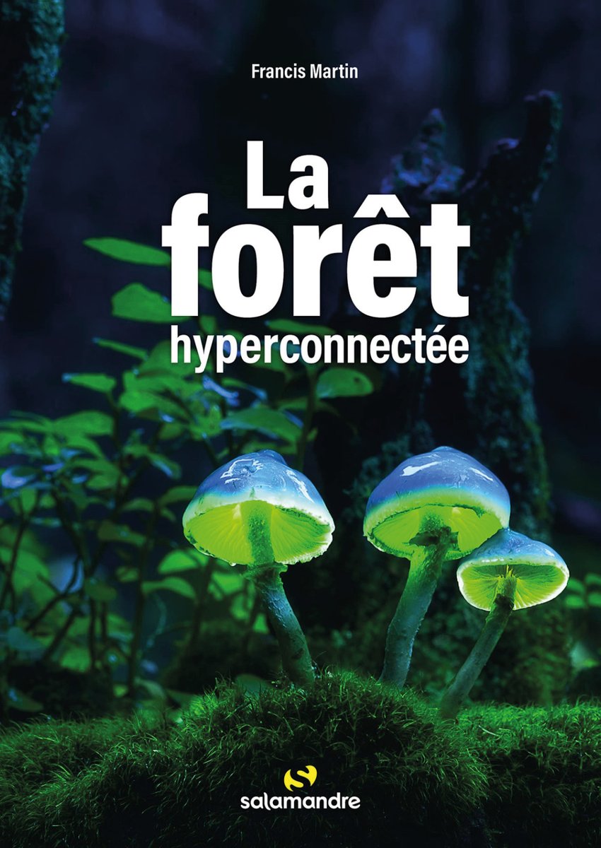 INRAE_Nancy's tweet photo. #LSP45 #SciencesSurLaPlaceSamedi 
9 septembre (10h-19h)  
Retrouvez Francis Martin Place de la Carrière à #Nancy dans le cadre des #SciencesSurLaPlace. Il dédicacera ses 2 dernières sorties «La forêt hyperconnectée» (ed.
@SalamandreNET) et «Sous la forêt» (collection Alpha). https://t.co/BYv9AK7eQI