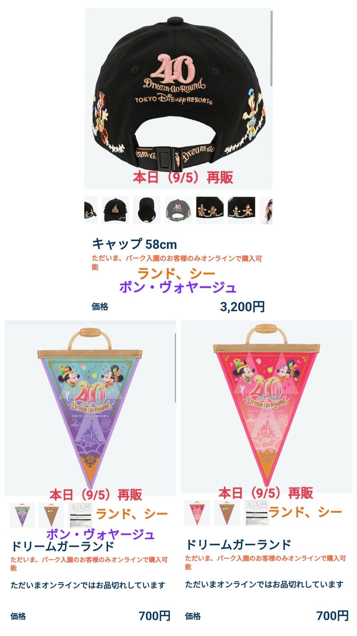 TDR ディズニー ぷらん on X: 