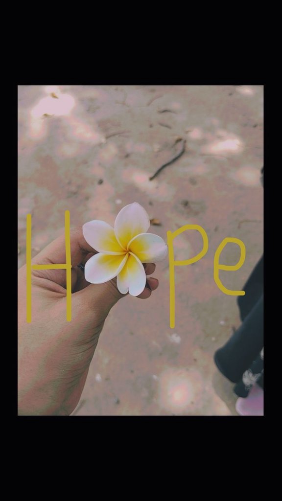 HadiqaShafiq's tweet photo. I found a H🌼PE 💫 https://t.co/Cggx54q1x9