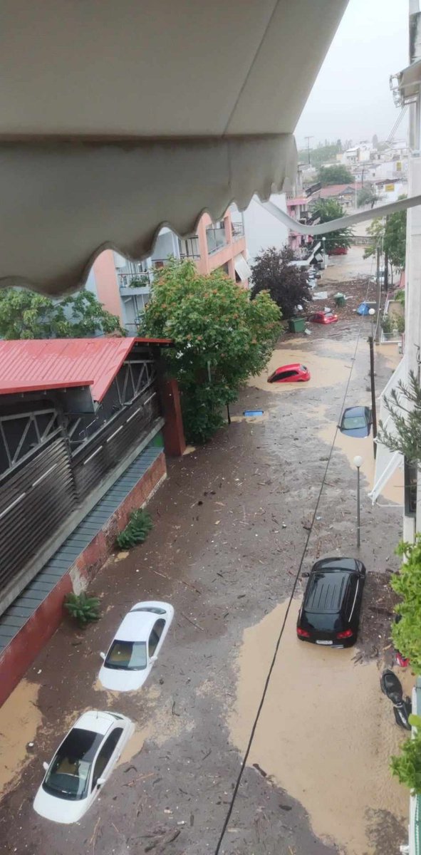 Ταβερνιάρης 💹🧲 tweet media