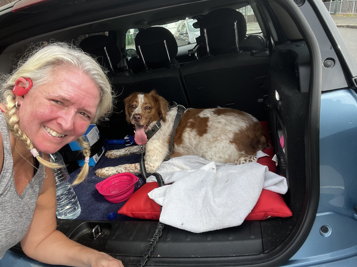 smarshcollings's tweet image. @Battersea_ RTW #MuddyDogChallenge has been postponed due to heat. It&apos;s being rescheduled for October &amp;amp; we&apos;ll still be there! Thank you to everyone who has supported us so far: please keep spreading the word - more time for us to fundraise! #BBunker