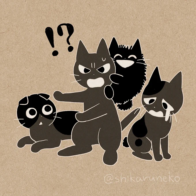 9月6日、今日は「黒の日」だよ! #黒の日