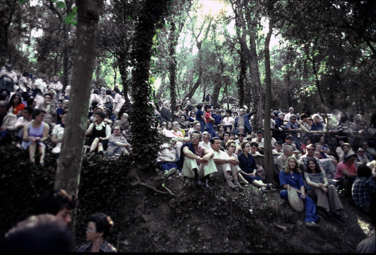 CUSIB Global Proyecto Documental tweet media