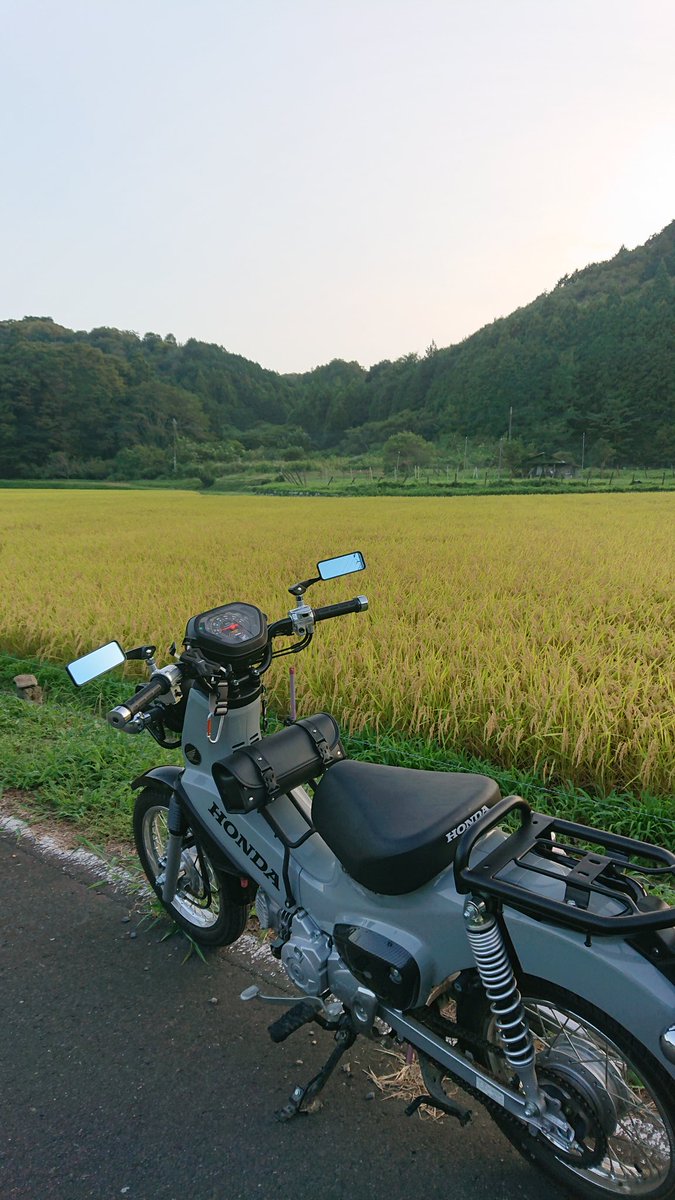 A80708171's tweet photo. クロスカブと。
#クロスカブ
#クロスカブ50
#カブ散歩 https://t.co/Pl0w7gWlJh